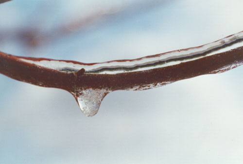 ice droplet