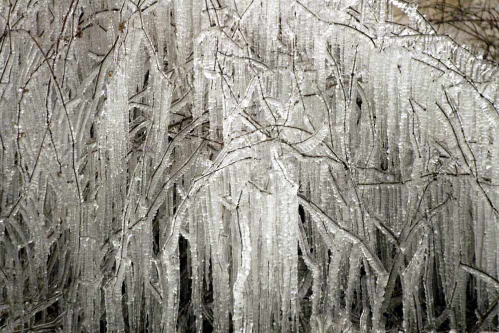 Massed icicles