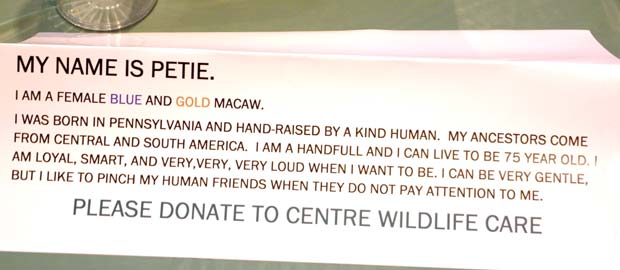 Petie the Macaw sign