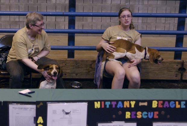 Nittany Beagle Rescue