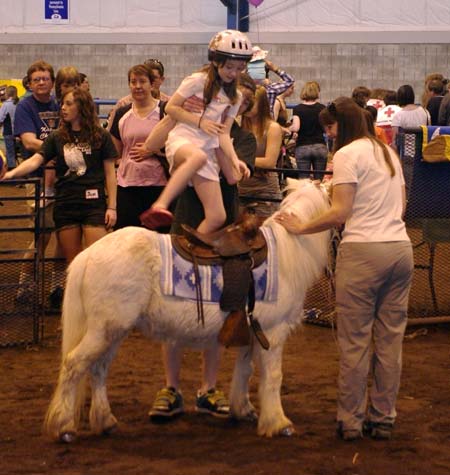 A lift for a pony ride
